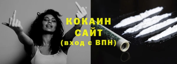 твердый Алексин