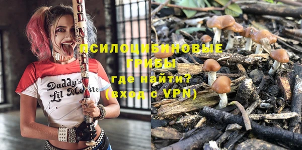 твердый Алексин